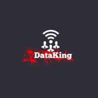Data King App logo