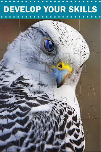 Amazing Birds - Jigsaw Puzzles screenshot 3