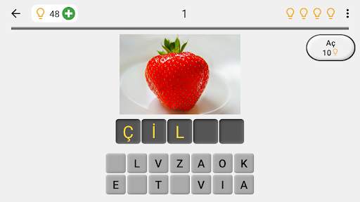 Resimleri ve kelimeleri tahmin edin Fotoğraf testi screenshot 7