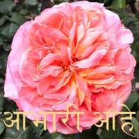 आभारी आहे on 9Apps