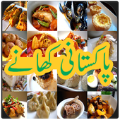 Pakistani Food Recipes in Urdu icon