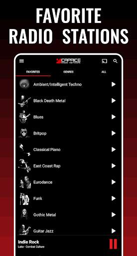 Radio Caprice: online Music screenshot 3