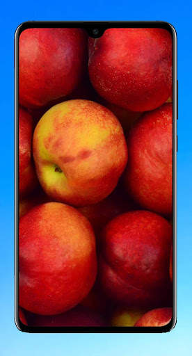 Apple Wallpaper 4K screenshot 7