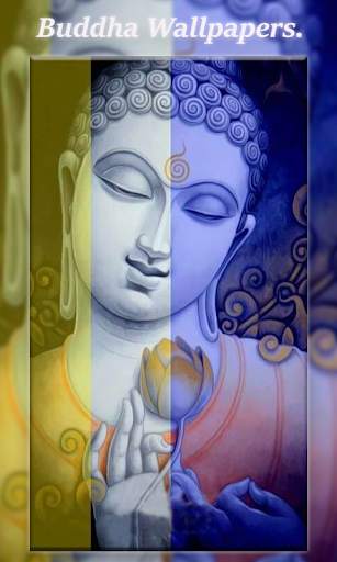 Buddha Wallpapers screenshot 1