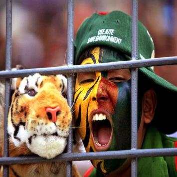 BCB Tiger Cricket screenshot 28