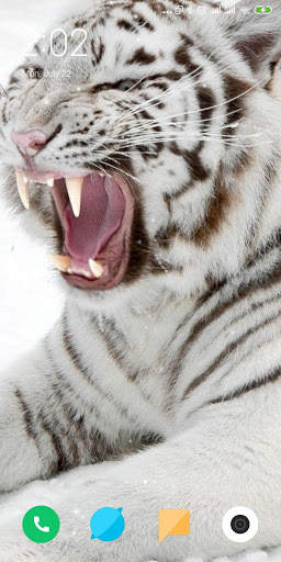 Tiger Live Wallpaper screenshot 2