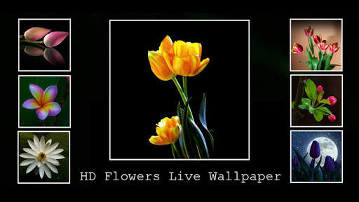 HD Flowers Live Wallpaper screenshot 2