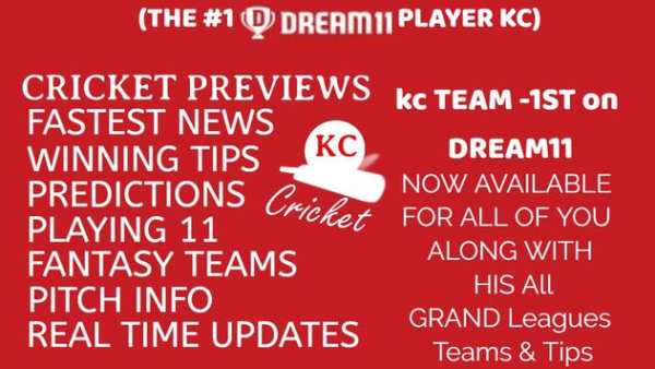 dream11 ipl fantasy cricket, D11 daily news & tips screenshot 2