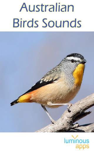 Australian Birds Sounds Free स्क्रीनशॉट 1