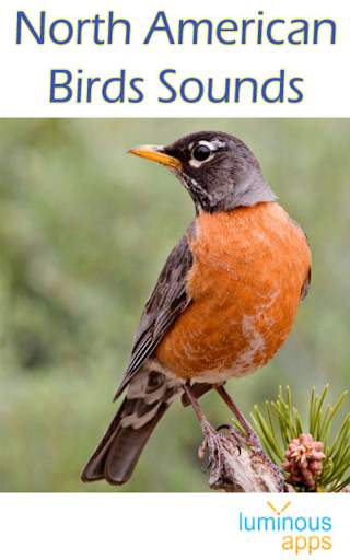 North American Birds Free screenshot 1