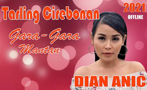 Dian Anic Mp3 Full Album Offline 2021 screenshot 5