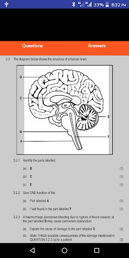 Responding to Environment | Life Sciences Grade 12 screenshot 3