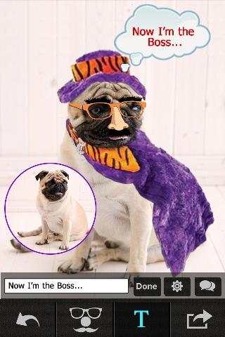 Pet Photo Editor - Funny & Live Color Effect Maker 4 تصوير الشاشة