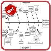 Fish Bone Diagram 1.0