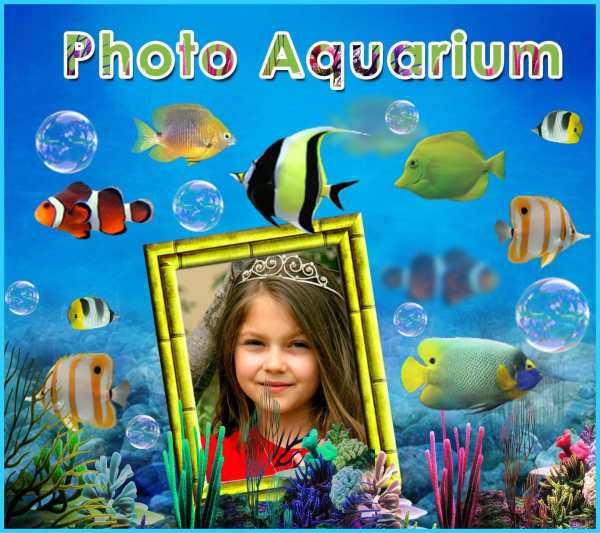 Photo Aquarium Live Wallpaper. screenshot 10