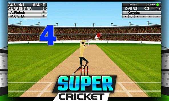 Super Cricket Championship screenshot 5