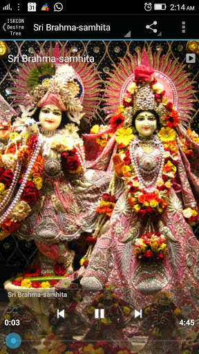 Daily Temple Prayers скриншот 16