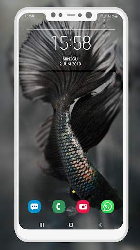 Betta Fish Wallpaper screenshot 8