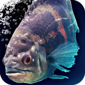 Escape: DEATH ISLAND icon