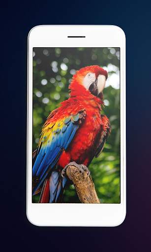 Birds Wallpaper - Best Birds Wallpaper 3d screenshot 2