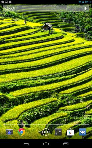 Nature Wallpaper screenshot 9