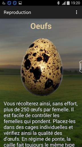 Quail breeding (Guide) screenshot 5