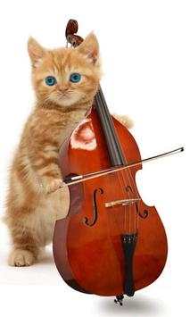 Funny cats Dancing and playing screenshot 1