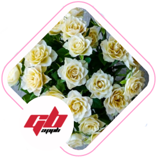 Fête du jour icon