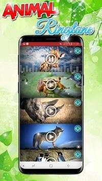Animals Sound Ringtones Real Free screenshot 1