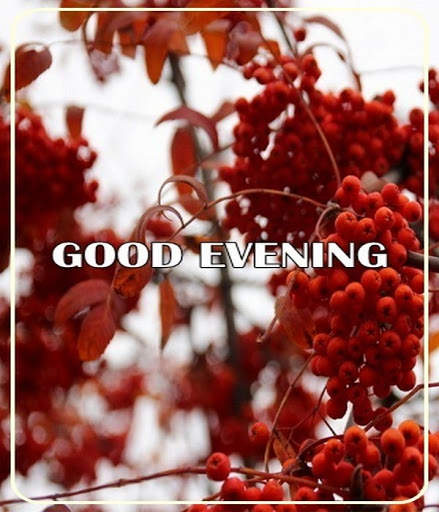 Good Evening Images screenshot 2