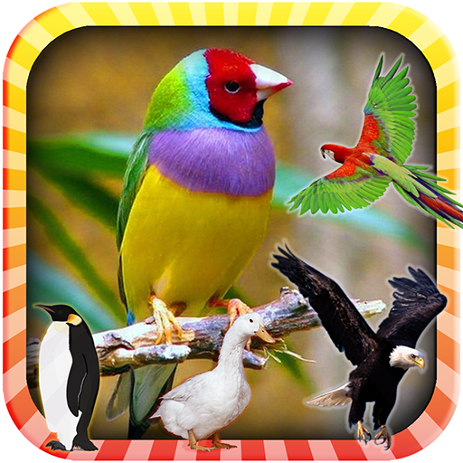 Learn the Birds icon