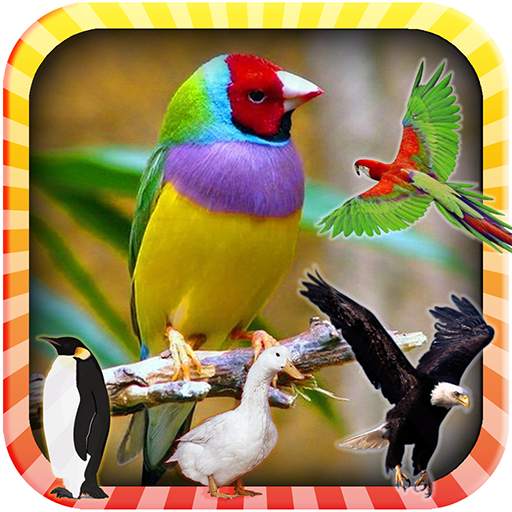 Learn the Birds 1.1.32