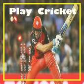 Play Cricket