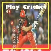Play Cricket 1.0