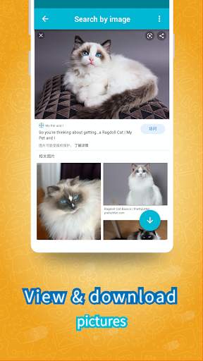 Photo Search Master - Search photo by images screenshot 3