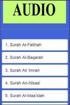Quran Audio Android screenshot 2