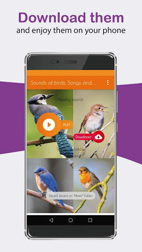 Sounds of birds. Songs and bird tones. screenshot 3
