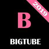 Bigtube VPN - Original Free VPN 2.0