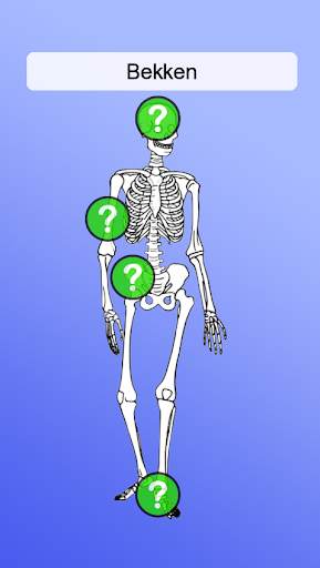 Anatomie screenshot 3
