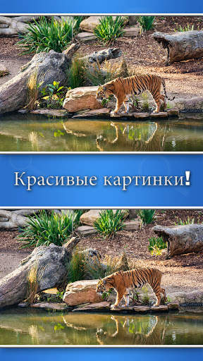 Найди отличия скриншот 2