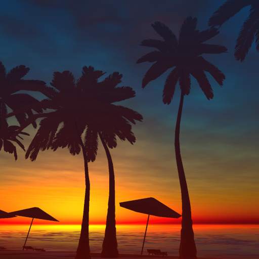 Palms Live Wallpaper 0.7.3