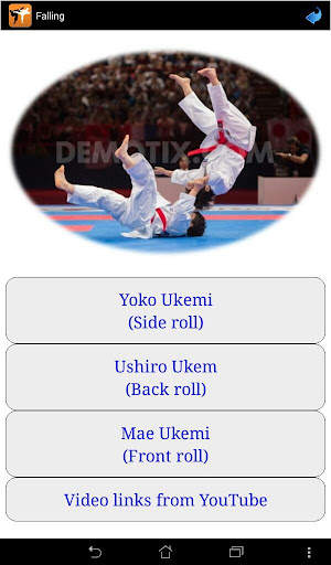 Karate in brief screenshot 13