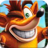 Crash shira icon