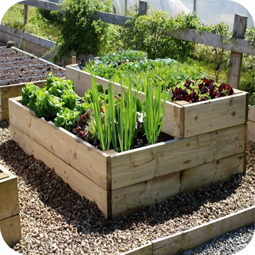 Vegetable Garden Ideas иконка