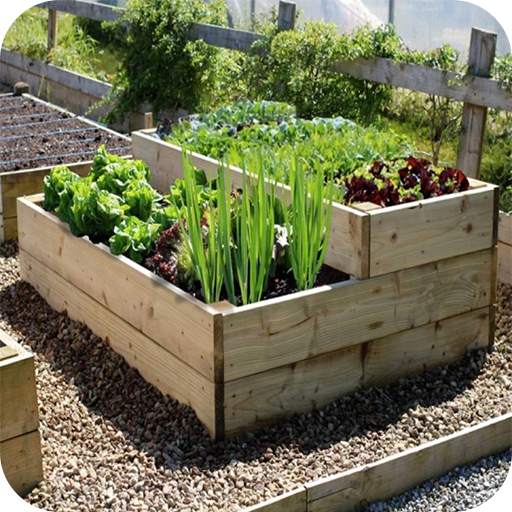 Vegetable Garden Ideas 1.2