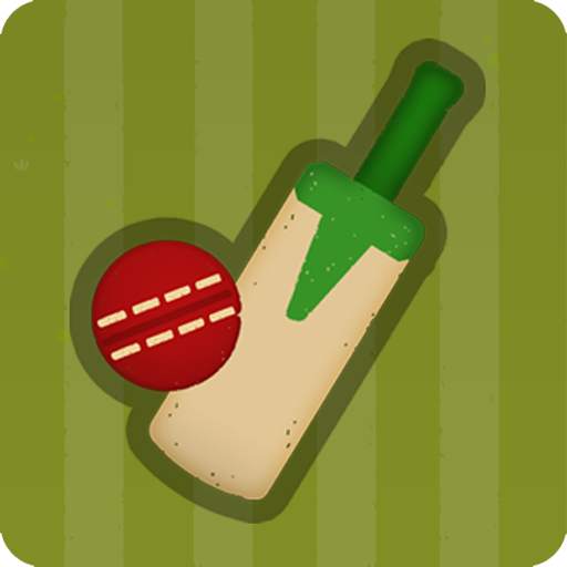 Village Cricket 1