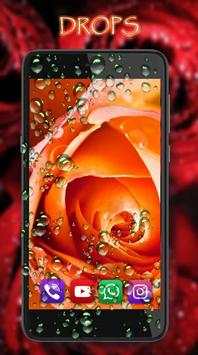 Roses Dew Drops live wallpaper screenshot 4