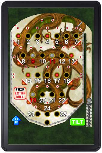 Bingo Pinball Dragon screenshot 7