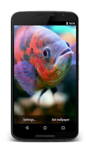 Aquarium 3D Video Wallpaper screenshot 1