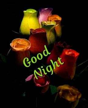 Romantic Good Night Love images Gif screenshot 4